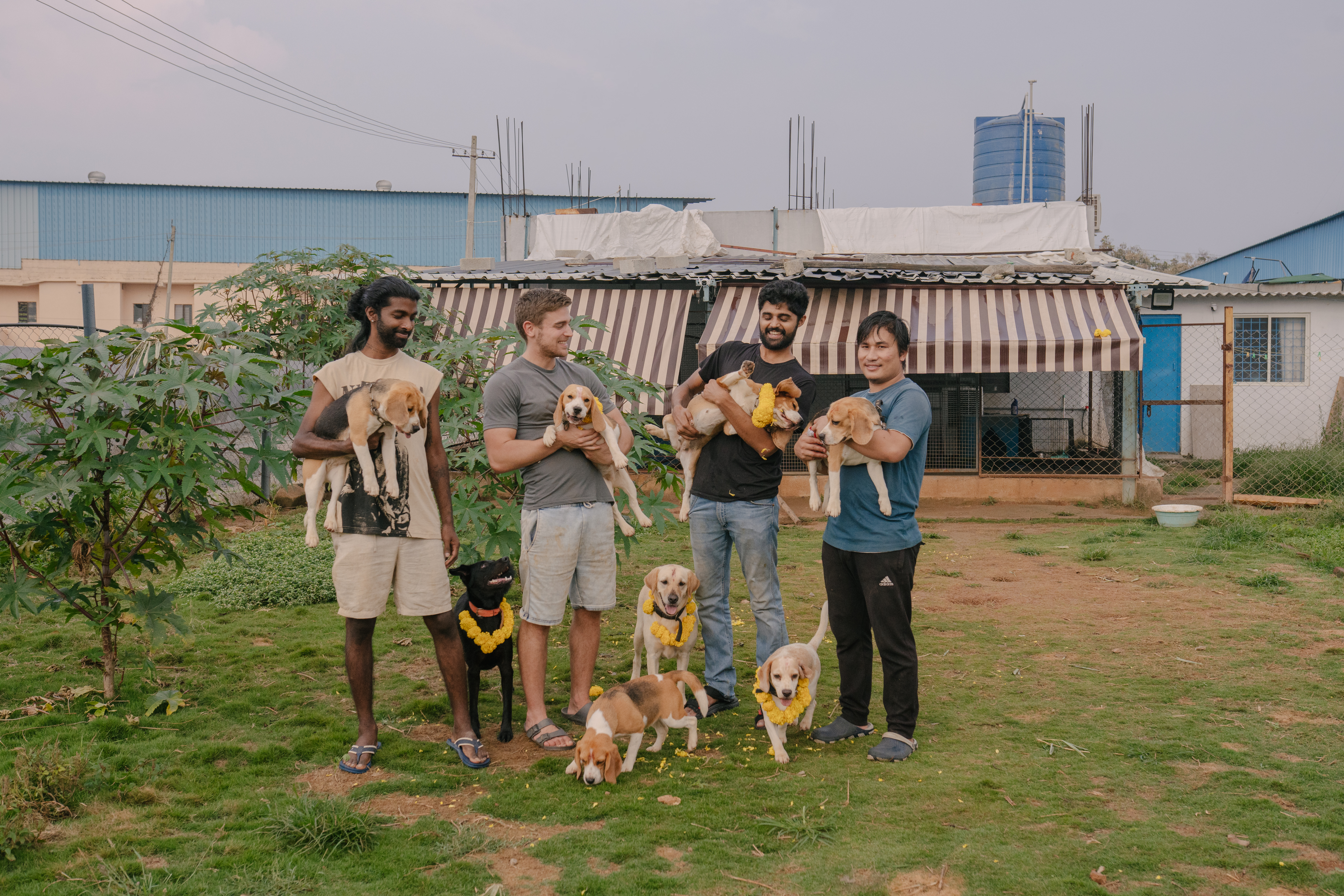 Dognosis Kuku Tihar 2024