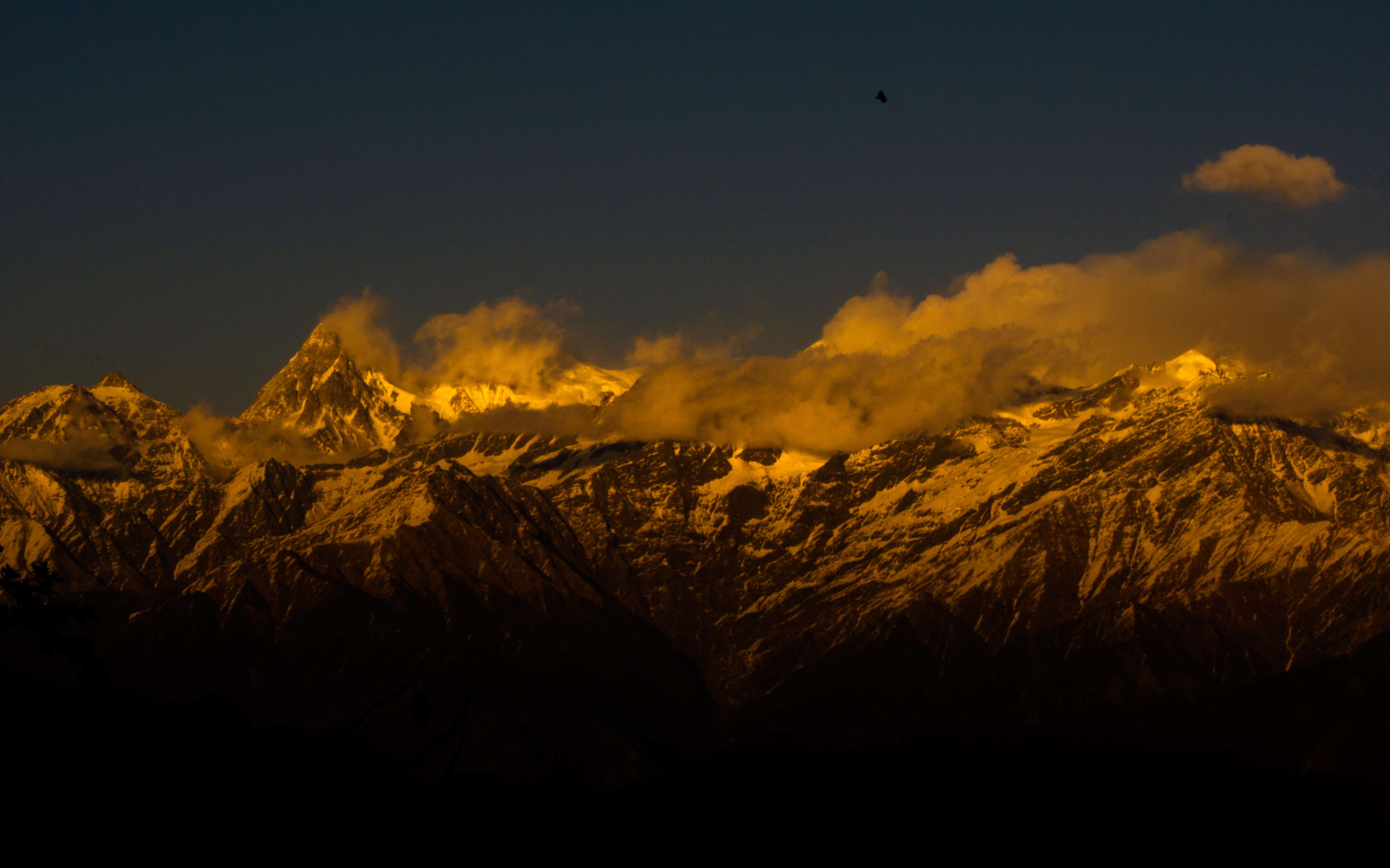Soaring above the Gangotri