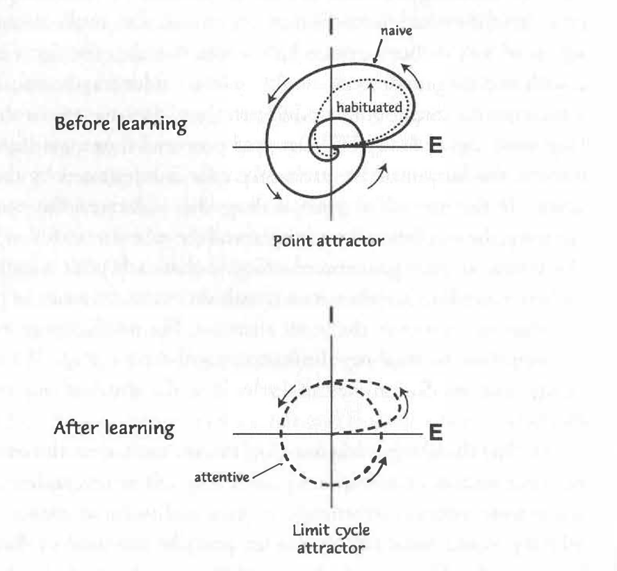 Atractor and limit cycle